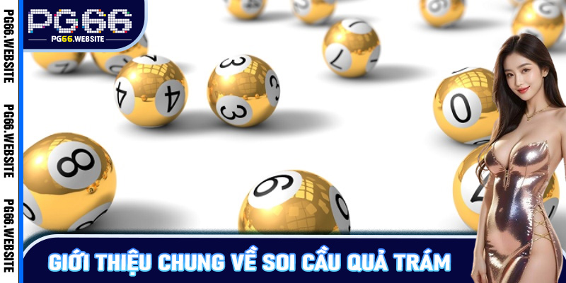 Giới thiệu chung về soi cầu quả trám