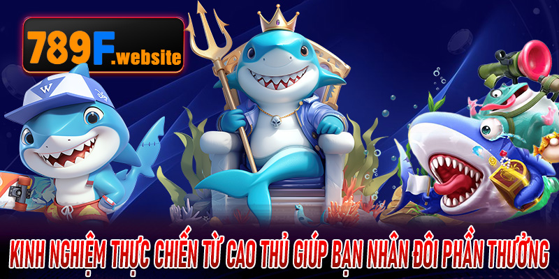 Kinh nghiệm thực chiến từ cao thủ giúp bạn nhân đôi phần thưởng