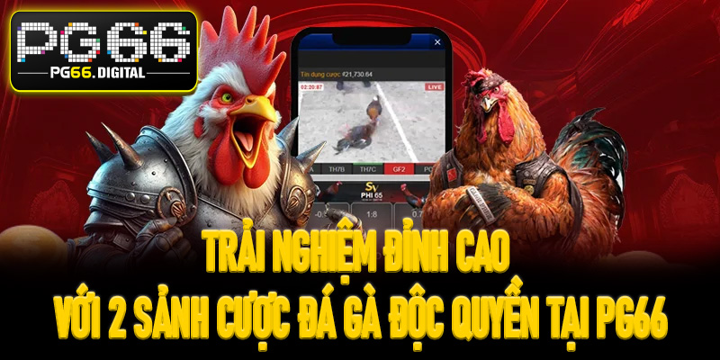 Trải nghiệm đỉnh cao với 2 sảnh cược đá gà độc quyền tại PG66