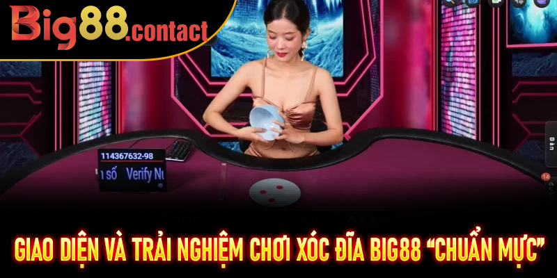 Giao diện và trải nghiệm chơi Xóc Đĩa Big88 “chuẩn mực”