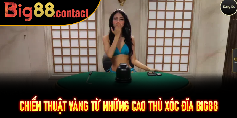 Chiến thuật vàng từ những cao thủ Xóc Đĩa Big88